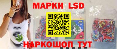 индика Беслан
