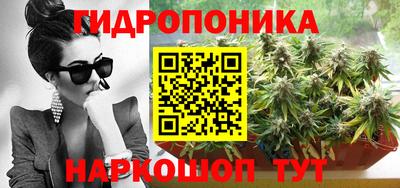 индика Беслан