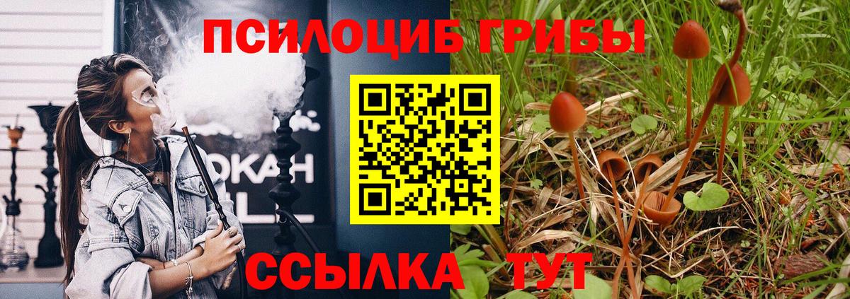 Избербаш  Галлюциногенные грибы мухоморы  Вход с VPN 