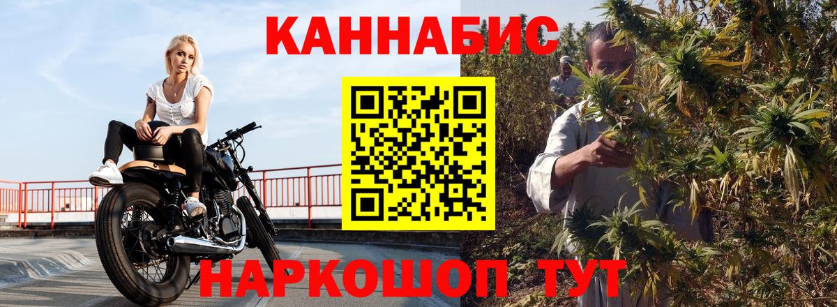 Марихуана сатива Избербаш